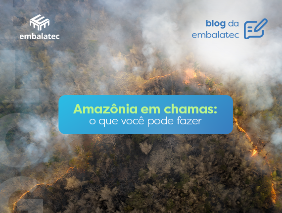 Amazônia em chamas