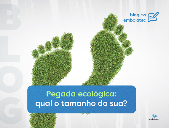 Pegada ecológica: qual o tamanho da sua?