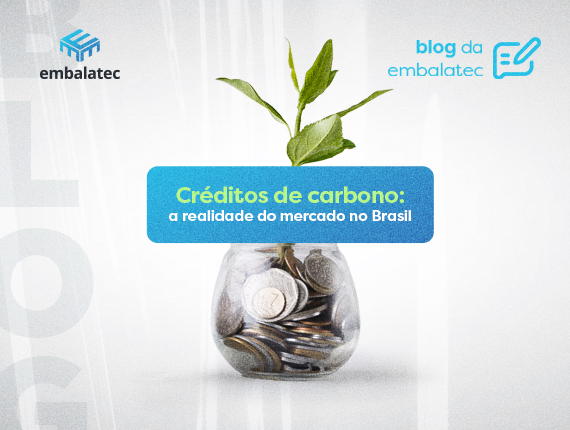 Blog Créditos de carbono: a realidade do mercado no Brasil